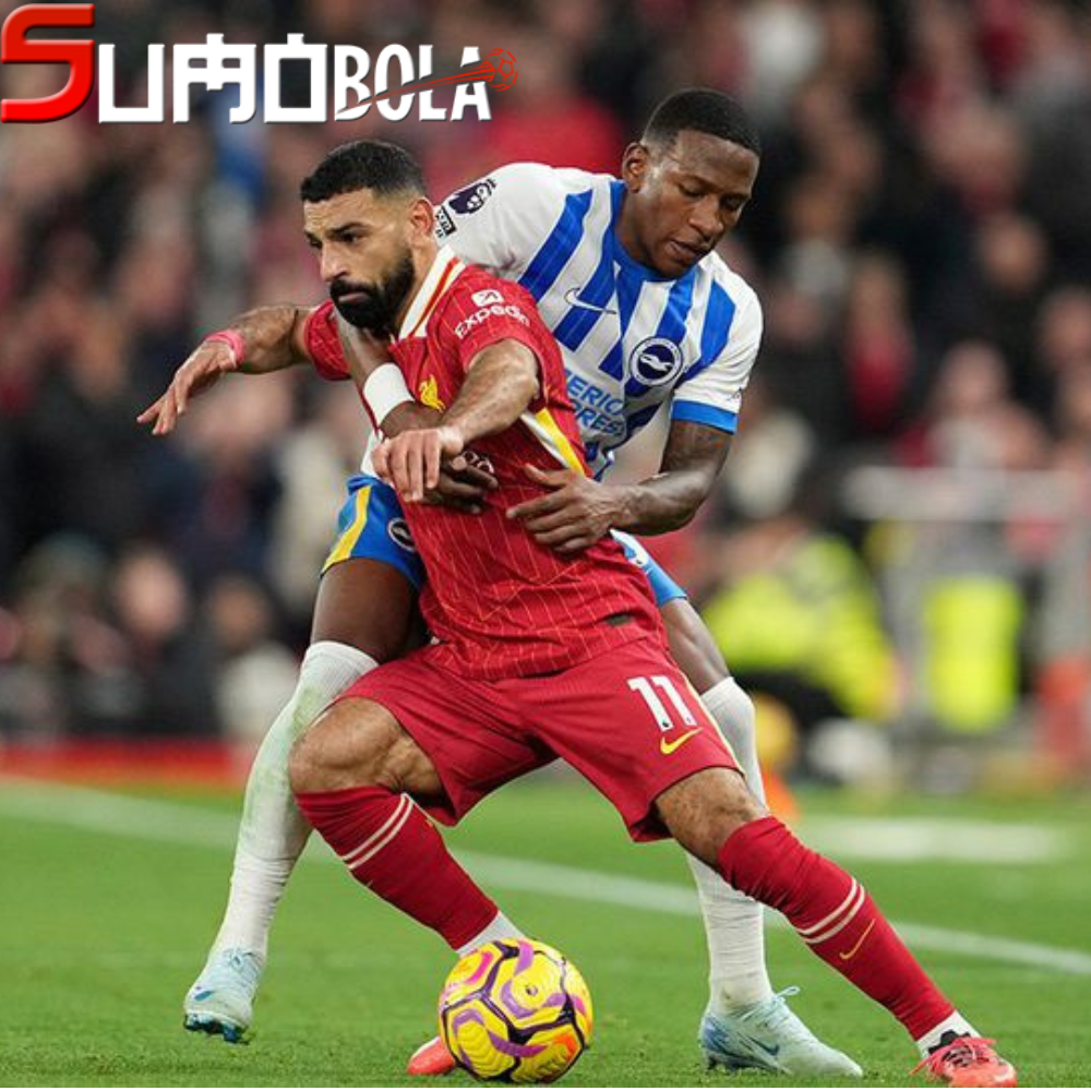 Prediksi Brighton vs Liverpool 20 Mei 2025